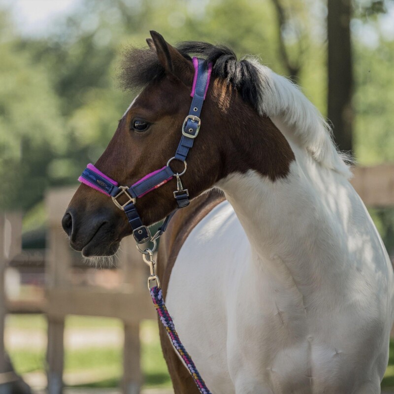 Pony ohlávka s vodítkem - hot pink