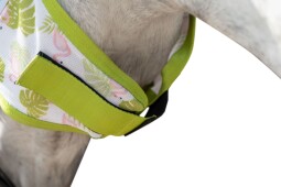 Maska Flamingo