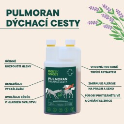 LEROS - Pulmoran SIRUP 1L