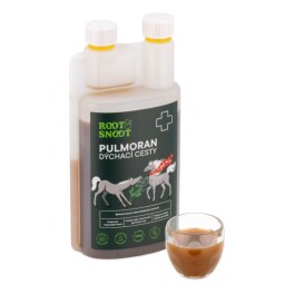 LEROS - Pulmoran SIRUP 1L