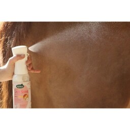 Ravene - Easy Shine Intense 500ml