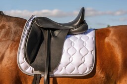 Dečka Dressage Competition HKM