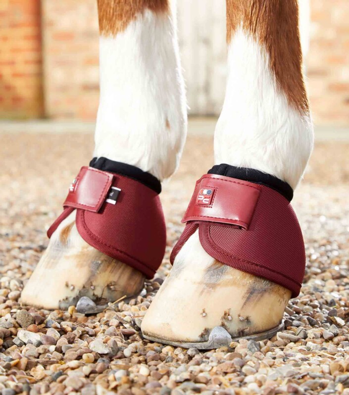 Zvony Premier Equine - burgundy M