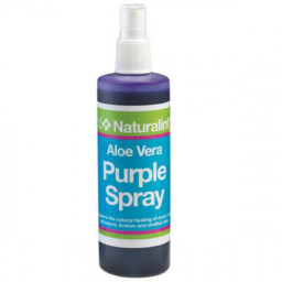 Purple spray s Aloe Vera a MSM na hojení ran (Láhev 240 ml)