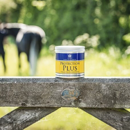 Repeletní hojivá mast Protection Plus 500g
