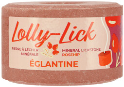 Lízátko Lolly Lick 700g - šípek
