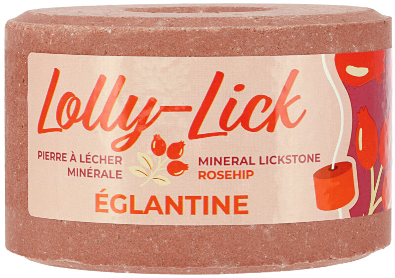 Lízátko Lolly Lick 700g - šípek