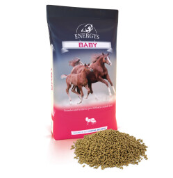 Energys Baby 25kg