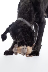 Hračka pro psa - Buddy Horse
