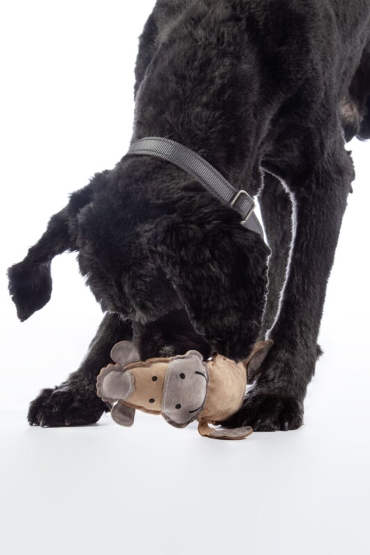 Hračka pro psa - Buddy Horse