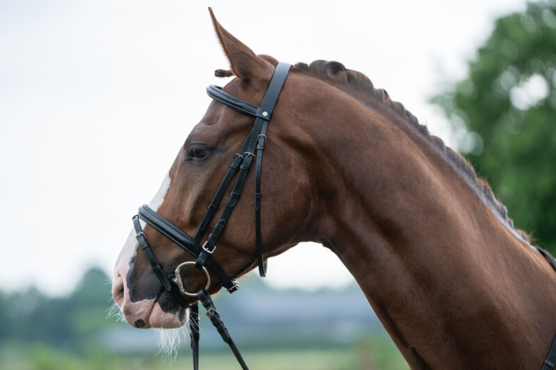 Uzdečka Jana - vel. xfull