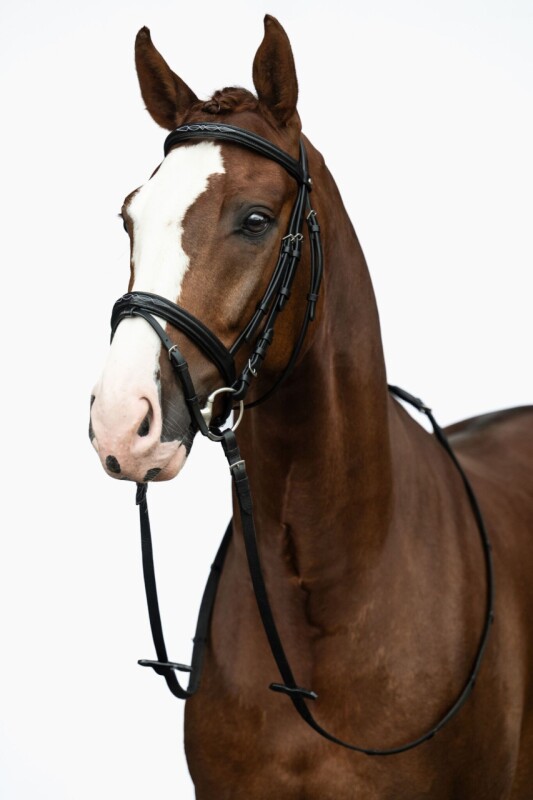 Uzdečka Jana - vel. xfull