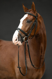 Uzdečka Jana - vel. xfull