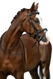 Uzdečka Jana - vel. xfull