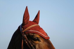 Čabraka Badge - Burgundy