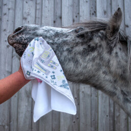 Utěrka z mikrovlákna SoulHorse "Nordic Horses"