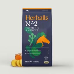 Pamlsky Herballs - kurkuma a zázvor 2kg