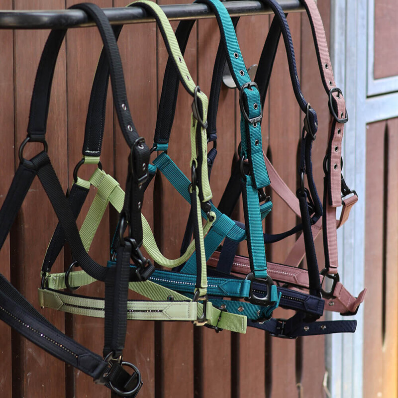 Ohlávka Charming FULL - tyrkysová