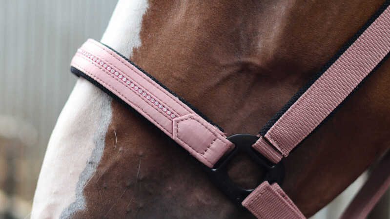 Ohlávka Charming FULL - antická růžová