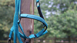 Vodítko Charming - tyrkysové