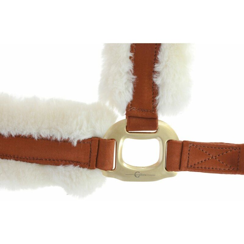 Ohlávka A/W 2022 - Dark Copper COB