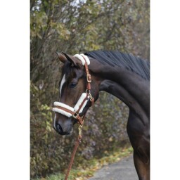 Ohlávka A/W 2022 - Dark Copper COB