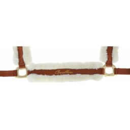 Ohlávka A/W 2022 - Dark Copper COB