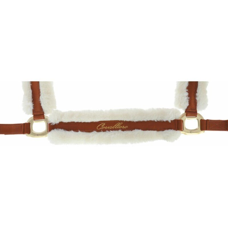 Ohlávka A/W 2022 - Dark Copper COB