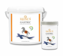 Speciální směs proti žaludečním vředům Gastric