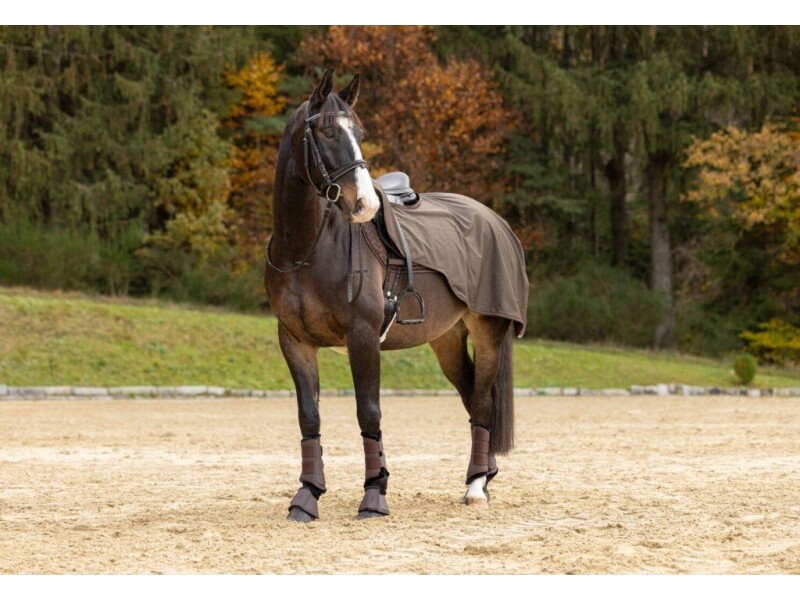 BF Bederní deka Covalliero A/W 2024 - 145cm hnědá