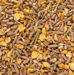 Getreide Mix Gold 20kg