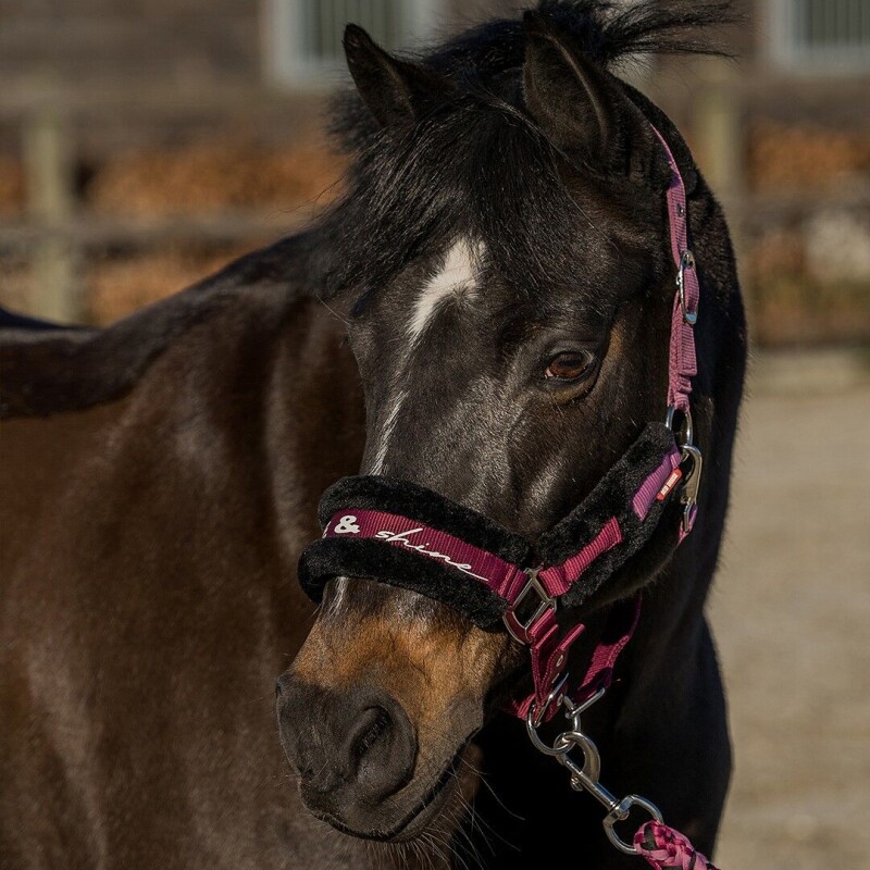 Set ohlávka s vodítkem pony/shetty - fialová