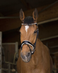 Uzdečka Bella - FULL