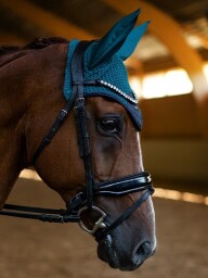 Set Equestrian Stockholm - Aurora Blues