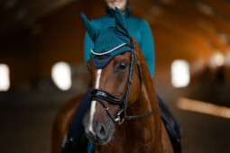 Set Equestrian Stockholm - Aurora Blues