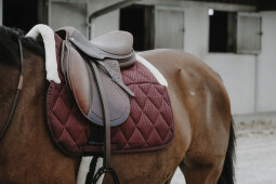 Pro Air - burgundy VS