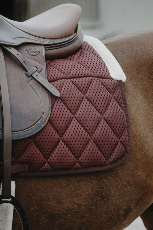 Pro Air - burgundy VS