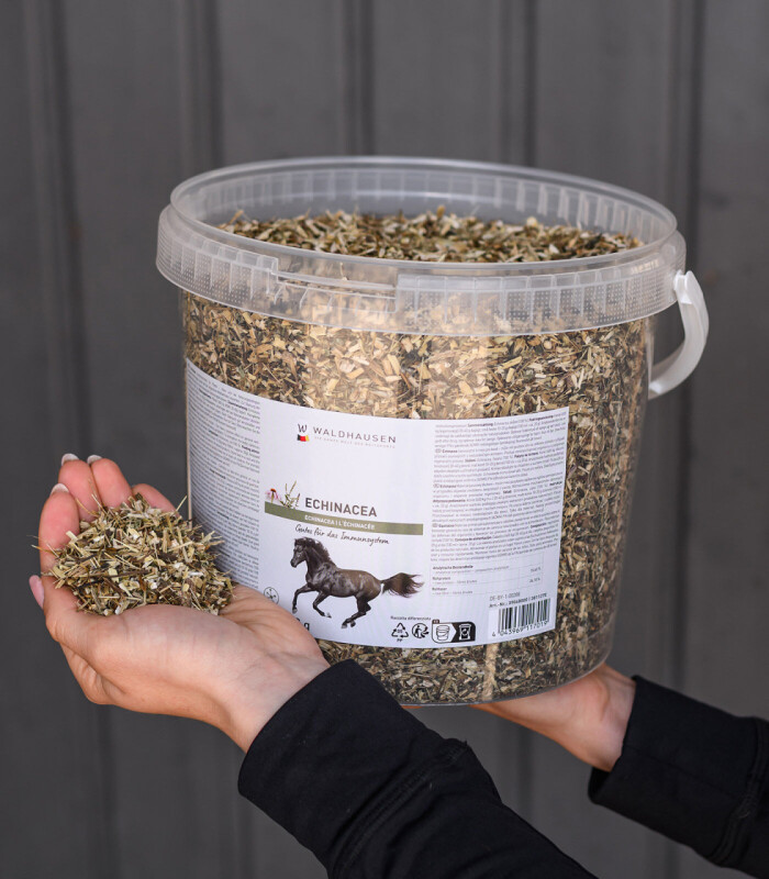 Echinacea na imunitní systém - kyblík 1kg